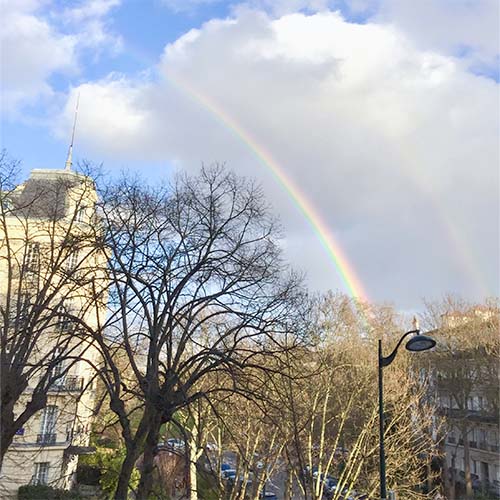 Paysage
