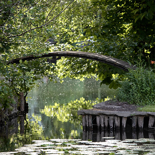 Paysage